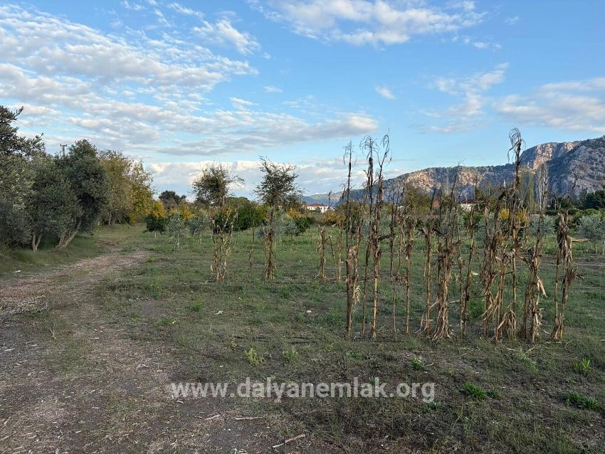 Dalyan'da 7.450m2 %5 İmarlı Satılık Arsa