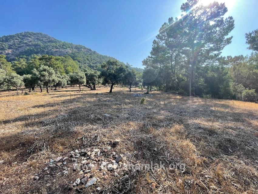Köyceğiz Çandır Mah. Satılık Tarla - Konut İmar Durumlu - 10.481 m²