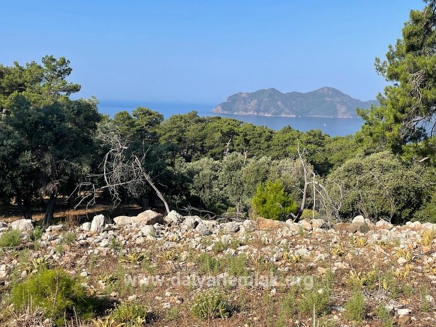 Köyceğiz Çandır Mah. Satılık Tarla - Konut İmar Durumlu - 10.481 m²