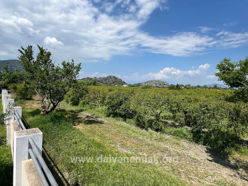 Dalyan Maraş Mevkiinden 5,100m2 %5 Konut İmarlı Satılık Arsa