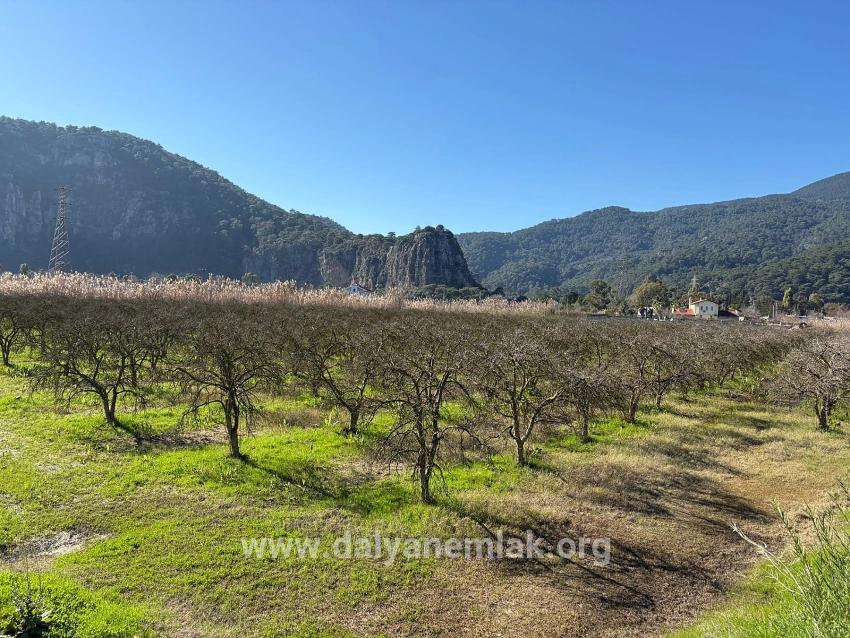 Ortaca Dalyan Mah. Satılık Arsa - Konut İmar Durumlu - 5.985 m²