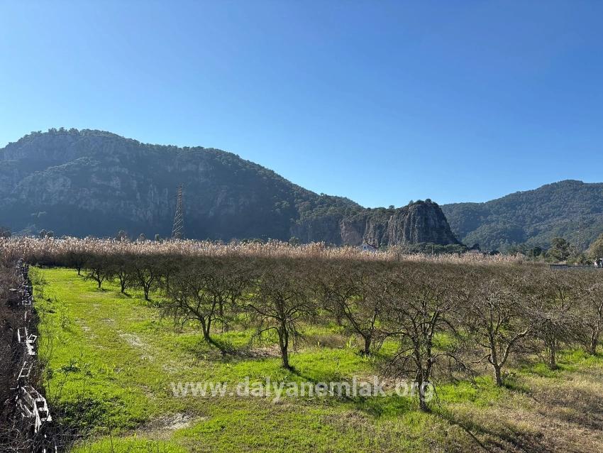 Ortaca Dalyan Mah. Satılık Arsa - Konut İmar Durumlu - 5.985 m²