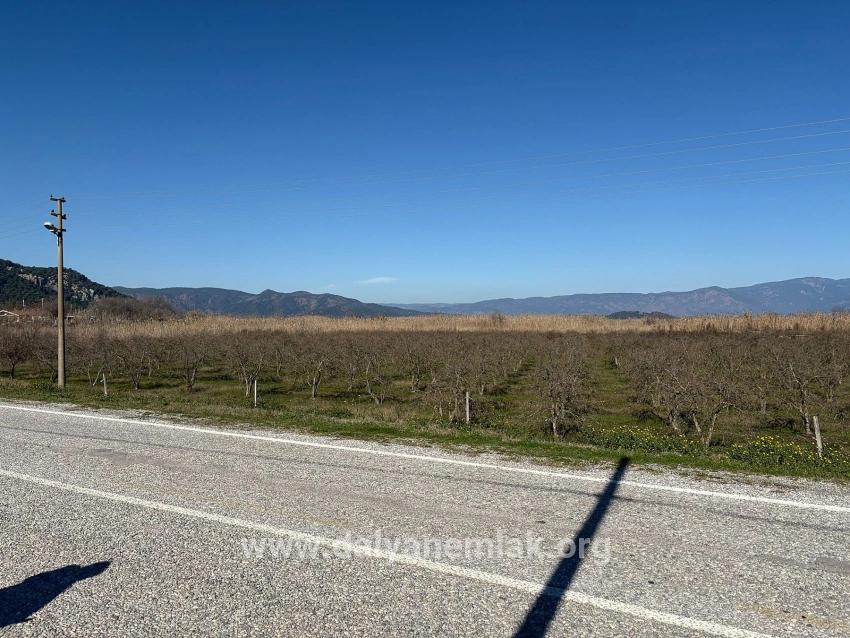 Ortaca Dalyan Mah. Satılık Arsa - Konut İmar Durumlu - 5.985 m²