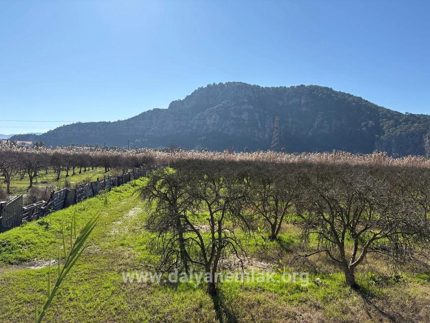 Ortaca Dalyan Mah. Satılık Arsa - Konut İmar Durumlu - 5.985 m²