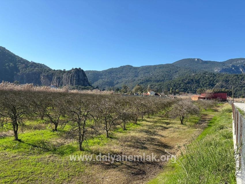 Ortaca Dalyan Mah. Satılık Arsa - Konut İmar Durumlu - 5.985 m²