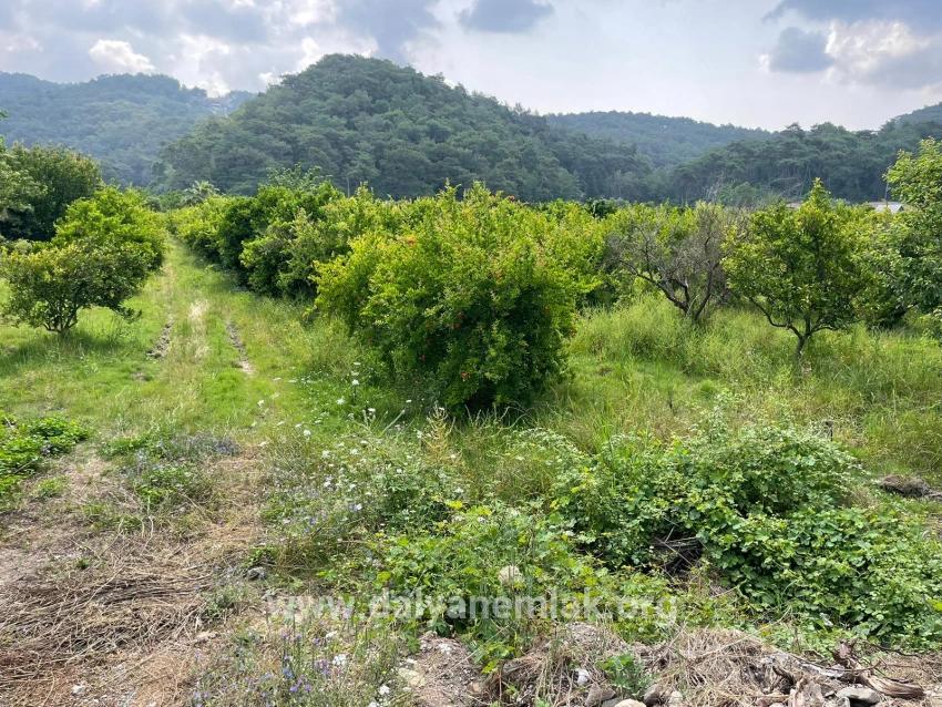 Gökbel'de İztuzu Plajı Yoluna Sıfır 7800m2 Satılık Arazi