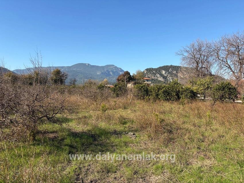 Dalyan'da 4.541m2 Satılık Bahçe