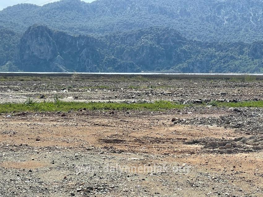 Dalyan İztuzu Plaj Yoluna Sıfır 19.600m2 Satılık Tarla