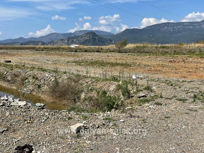 Dalyan İztuzu Plaj Yoluna Sıfır 19.600m2 Satılık Tarla