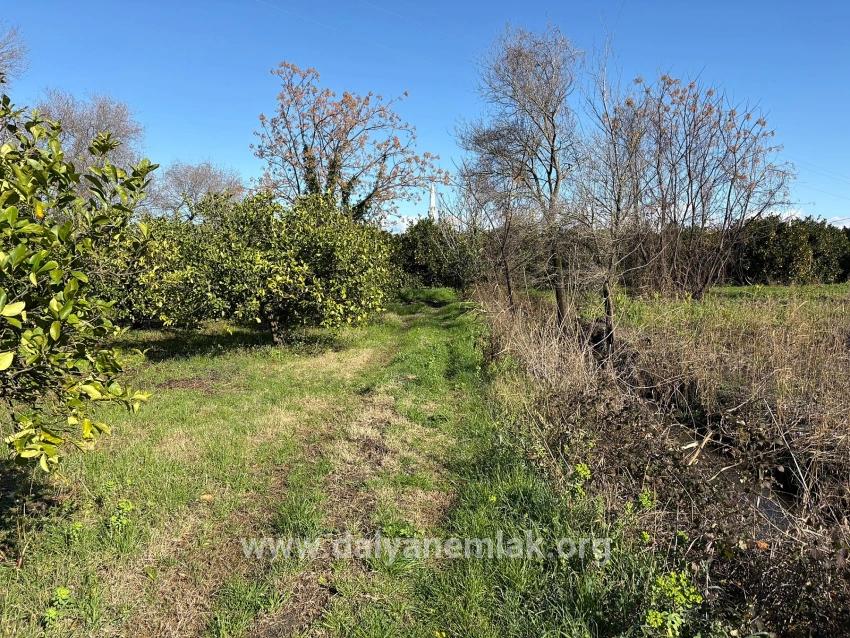 Ortaca Dalyan Mah. Satılık Tarla - Tarla İmar Durumlu - 16.500 m²