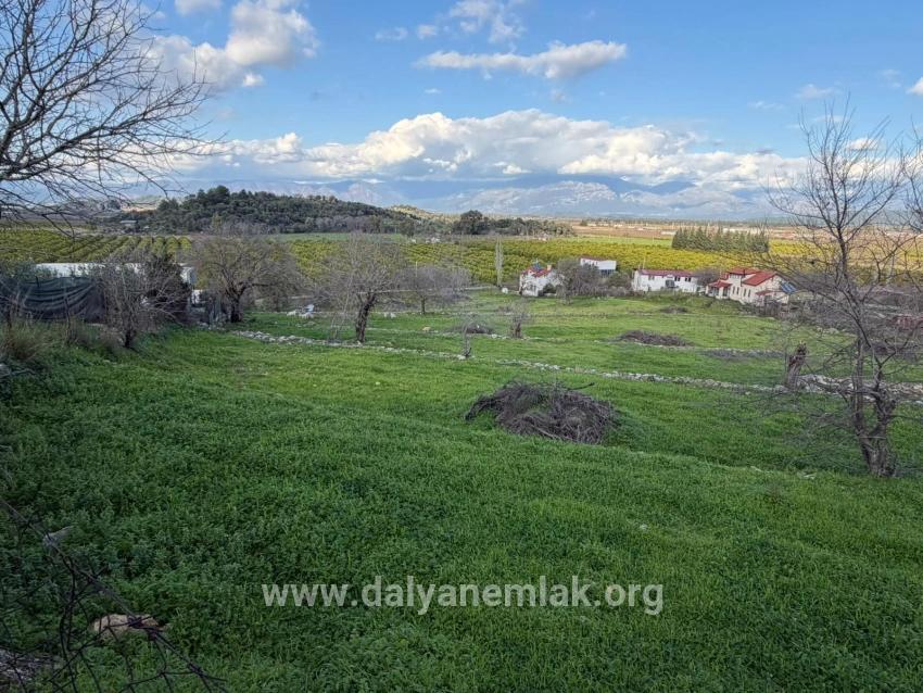 Dalyan'da Göl Manzaralı 11.230m2 Satılık Tarla