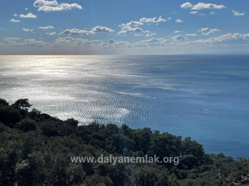 Çandır Full Deniz Manzaralı 20.000m2 Satılık 2b