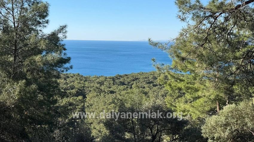 Çandır'da Full Deniz Manzaralı 5715m2 Satılık 2b Tarla