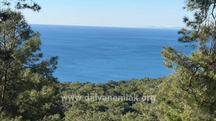 Çandır'da Full Deniz Manzaralı 5715m2 Satılık 2b Tarla