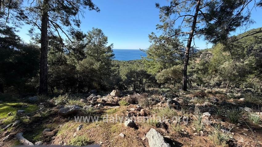 Köyceğiz Çandır Mah. Satılık Tarla - Konut İmar Durumlu - 5.715 m²