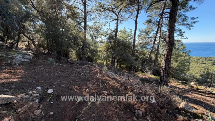 Çandır'da Full Deniz Manzaralı 5715m2 Satılık 2b Tarla