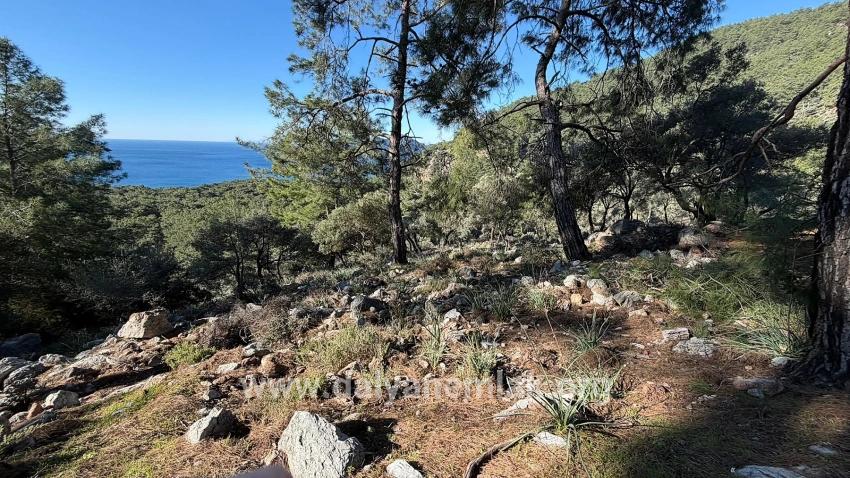 Köyceğiz Çandır Mah. Satılık Tarla - Konut İmar Durumlu - 5.715 m²