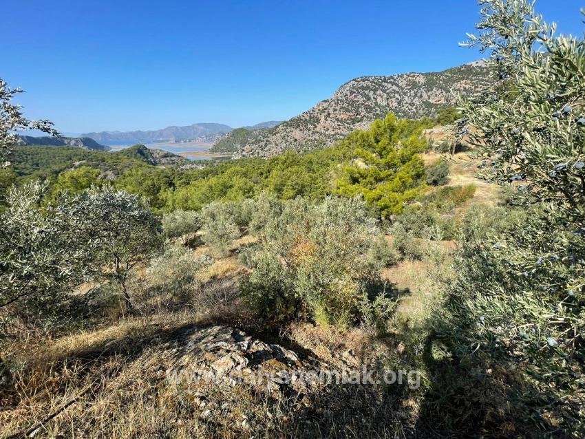 Gökbel'de Full Deniz Manzaralı 3514m2 Satılık Arsa