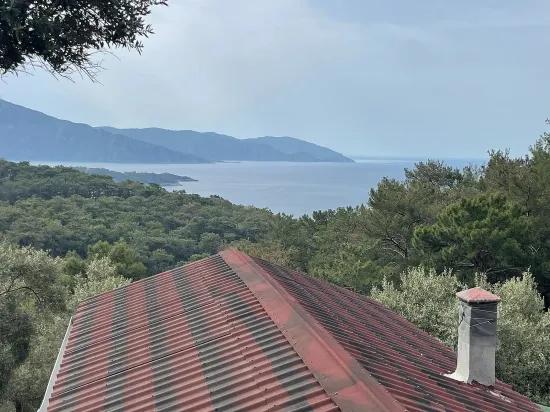 Köyceğiz Ekincik deniz manzaralı 7.000m2 2b satılık zeytinlik