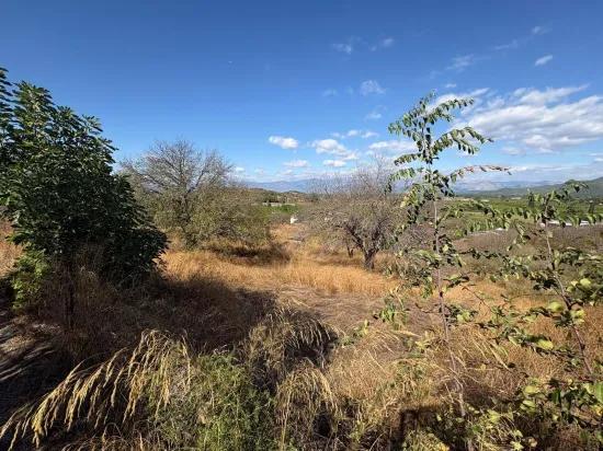 Dalyan Karadağ'da göl manzaralı 5.000m2 satılık tarla