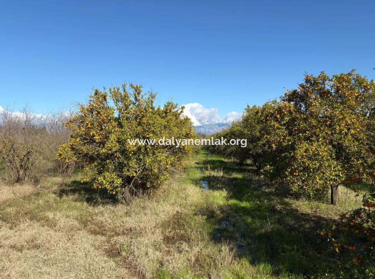 Tepearasın'da 23,000M2 Müstakil Satılık Tarla Bahçe