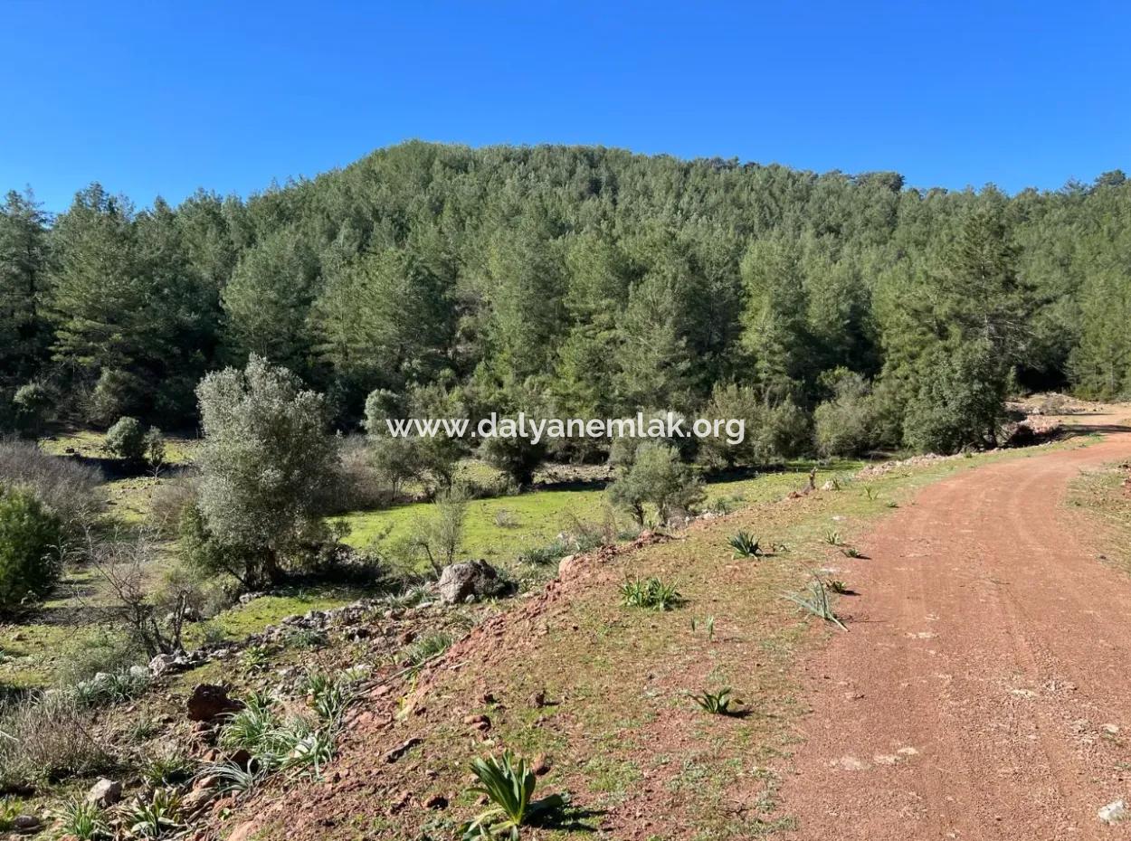 Gökbel'de Doğa Ve Orman İçerisinde Satılık Tarla