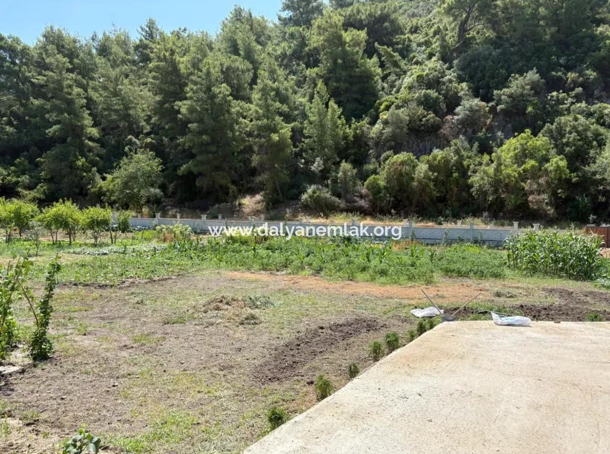 Dalyan Karadağ Mevkiinde 2500M2 Tarla İçerisinde 120M2 Müstakil Ahşap Ev