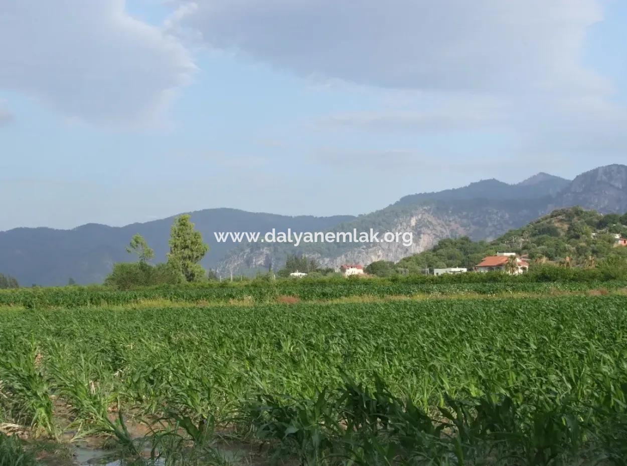 Dalyan Satılık Tarla Dalyan Merkeze Yakın 14,612M2 Satılık Tarla