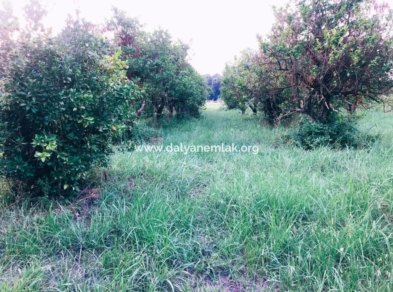 Okçularda Satılık Arsa Okçular Marmarlı Satılık  1,500M2 Satılık Arsa