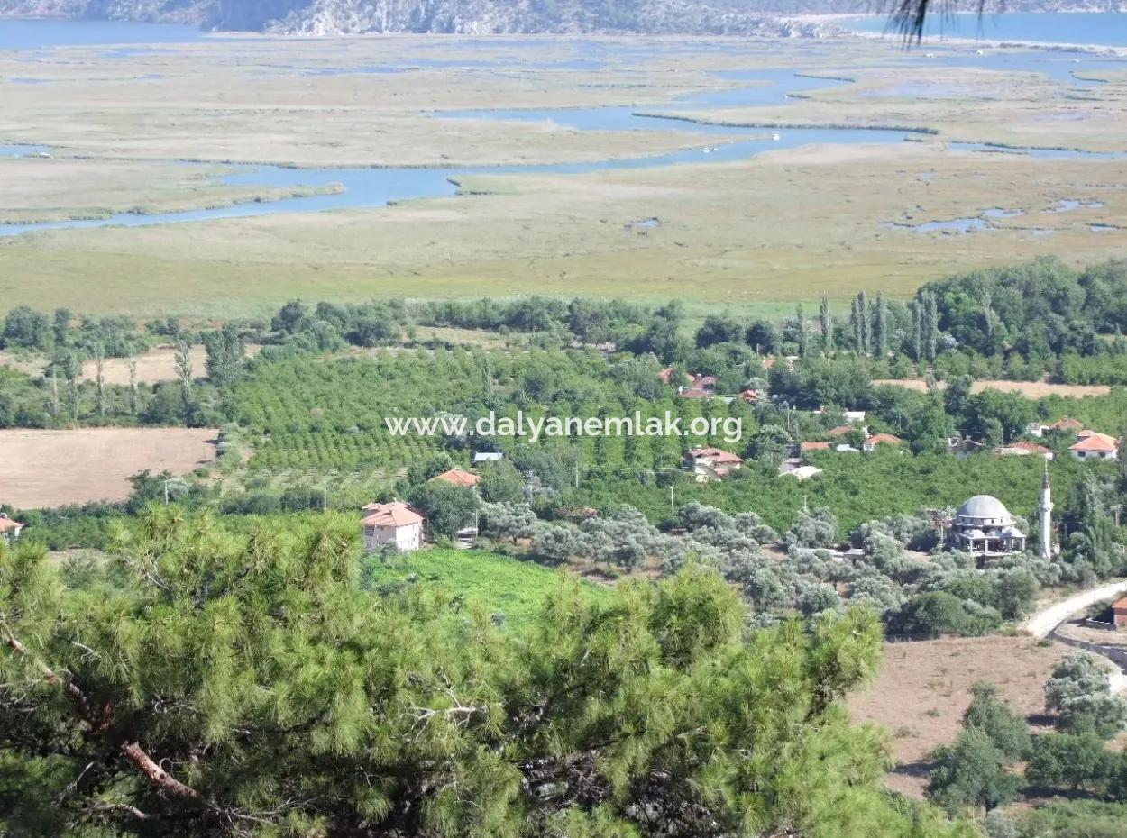 Çandır Satılık Arsa Deniz Manzaralı 6265 M2 Satılık Arsa