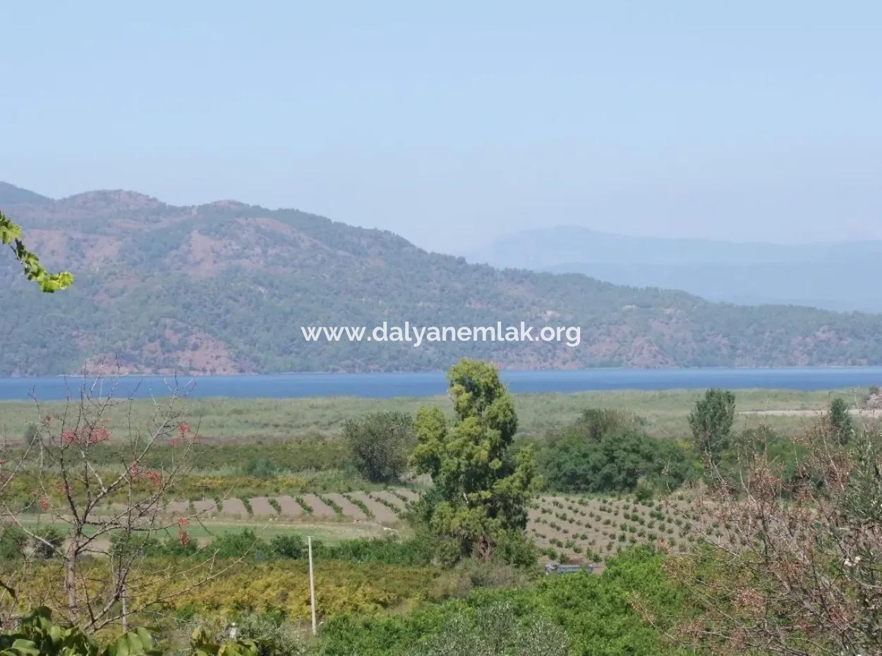 Dalyan Satılık Tarla Dalyan 73410M2 Satılık Tarla
