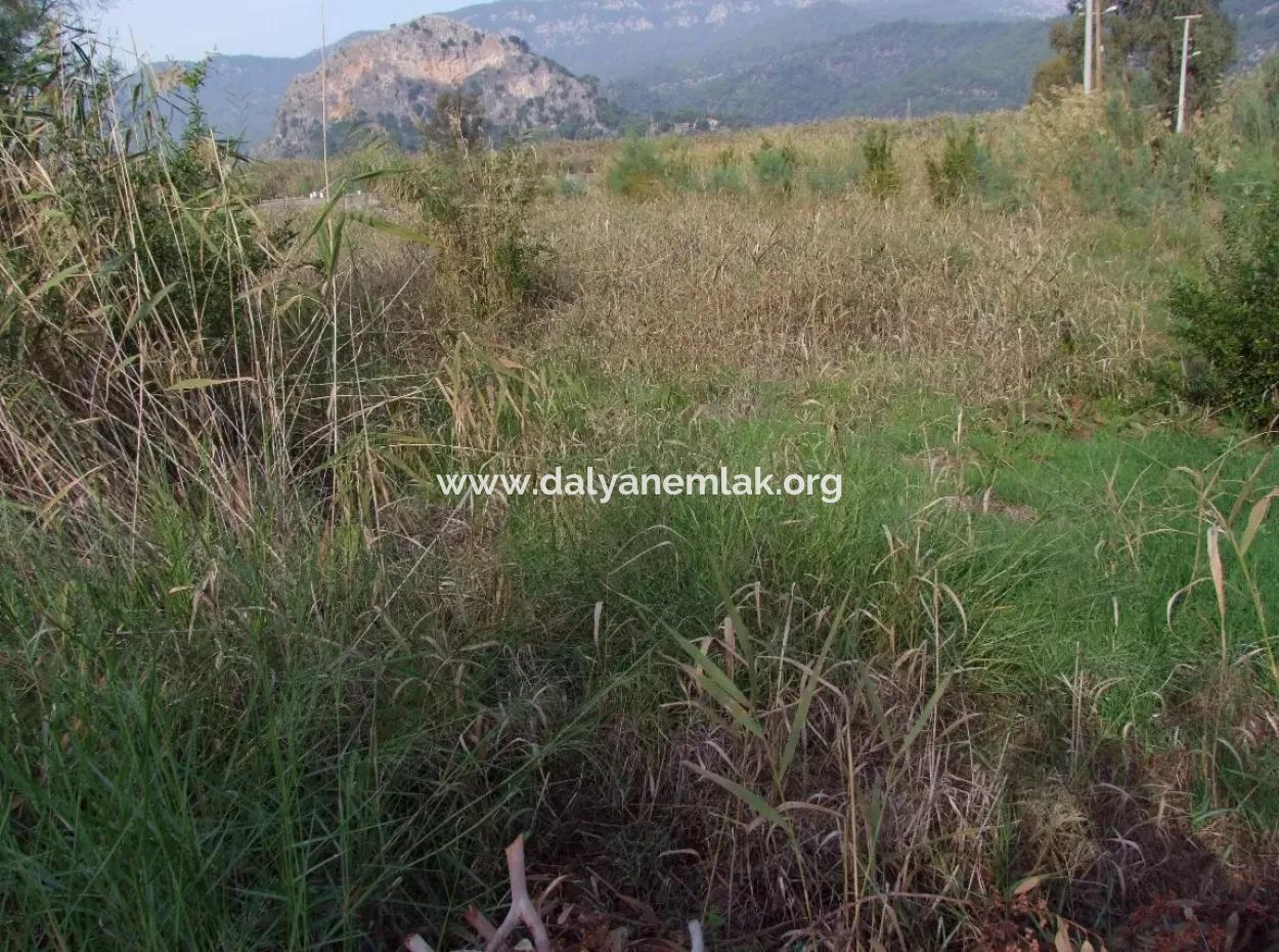 Dalyan Satılık Arsa Dalyan Kanala Sıfır Satılık Arsa