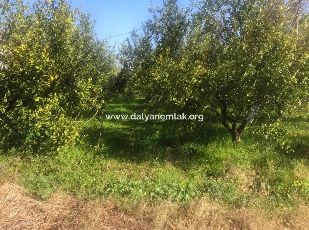 Akıncıda Satılık Arsa 803M2  İmarlı  Satılık Arsa