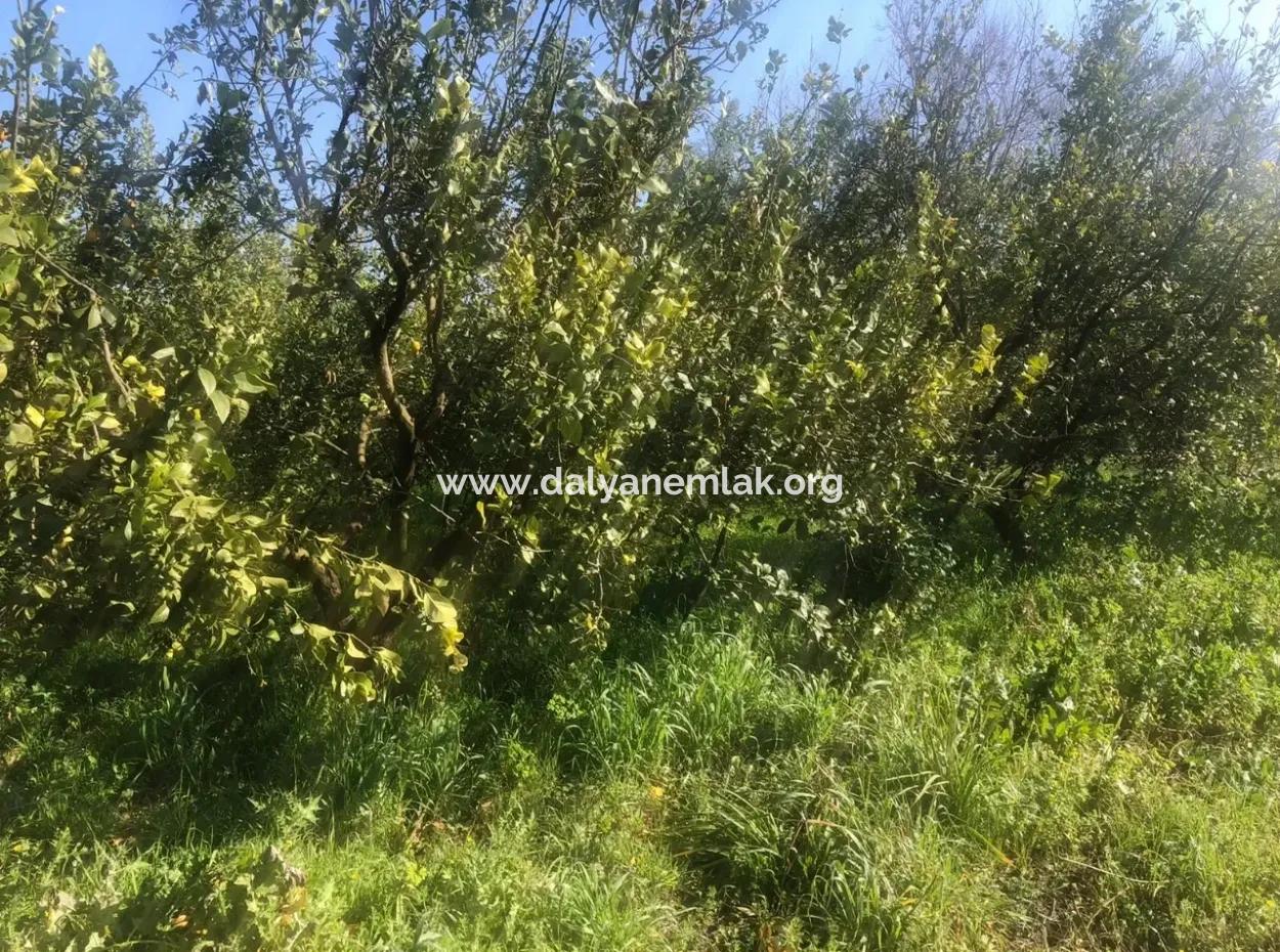 Akıncıda Satılık Arsa 803M2  İmarlı  Satılık Arsa