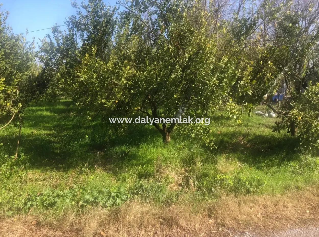 Akıncıda Satılık Arsa 803M2  İmarlı  Satılık Arsa