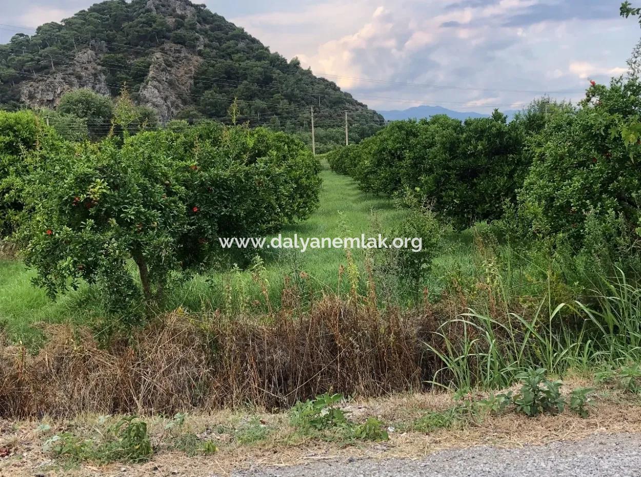 Dalyan Satılık Arsa Gülpınar 722M2 Satılık Arsa