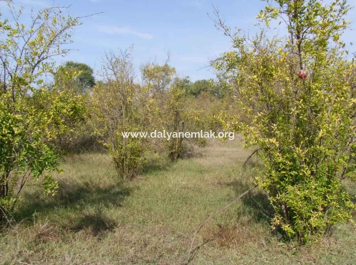 Güzelyurt Satılık Arsa  Köy Yerleşik 6670M2 Satılık Arazi