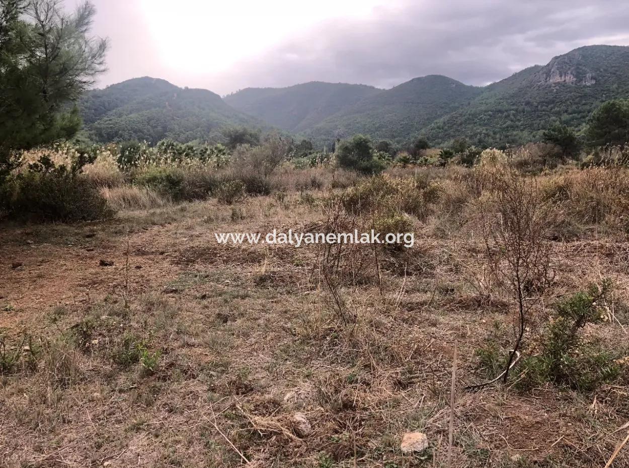 Çamlı Kanala Sıfır Satılık Arazi Arsa Çamlıda Deniz Manzaralı 28768M2 Satılık Arsa