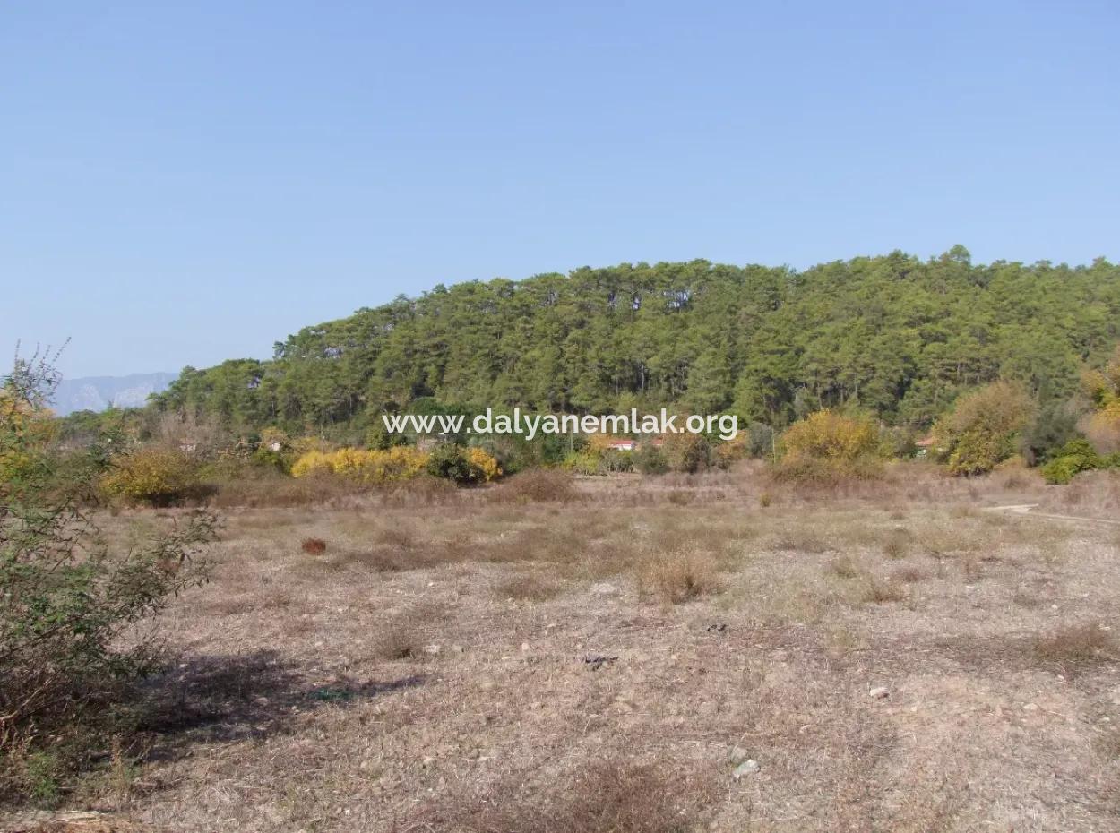 Çamlı'da Deniz Manzaralı 6850M2 İmarlı Satılık Arsa