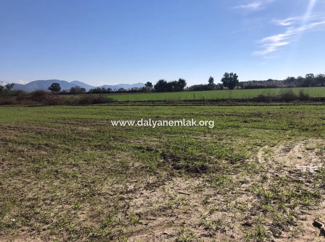 Sarıgermede Satılık Arsa Deniz Manzaralı 30,000M2 Satılık Arsa