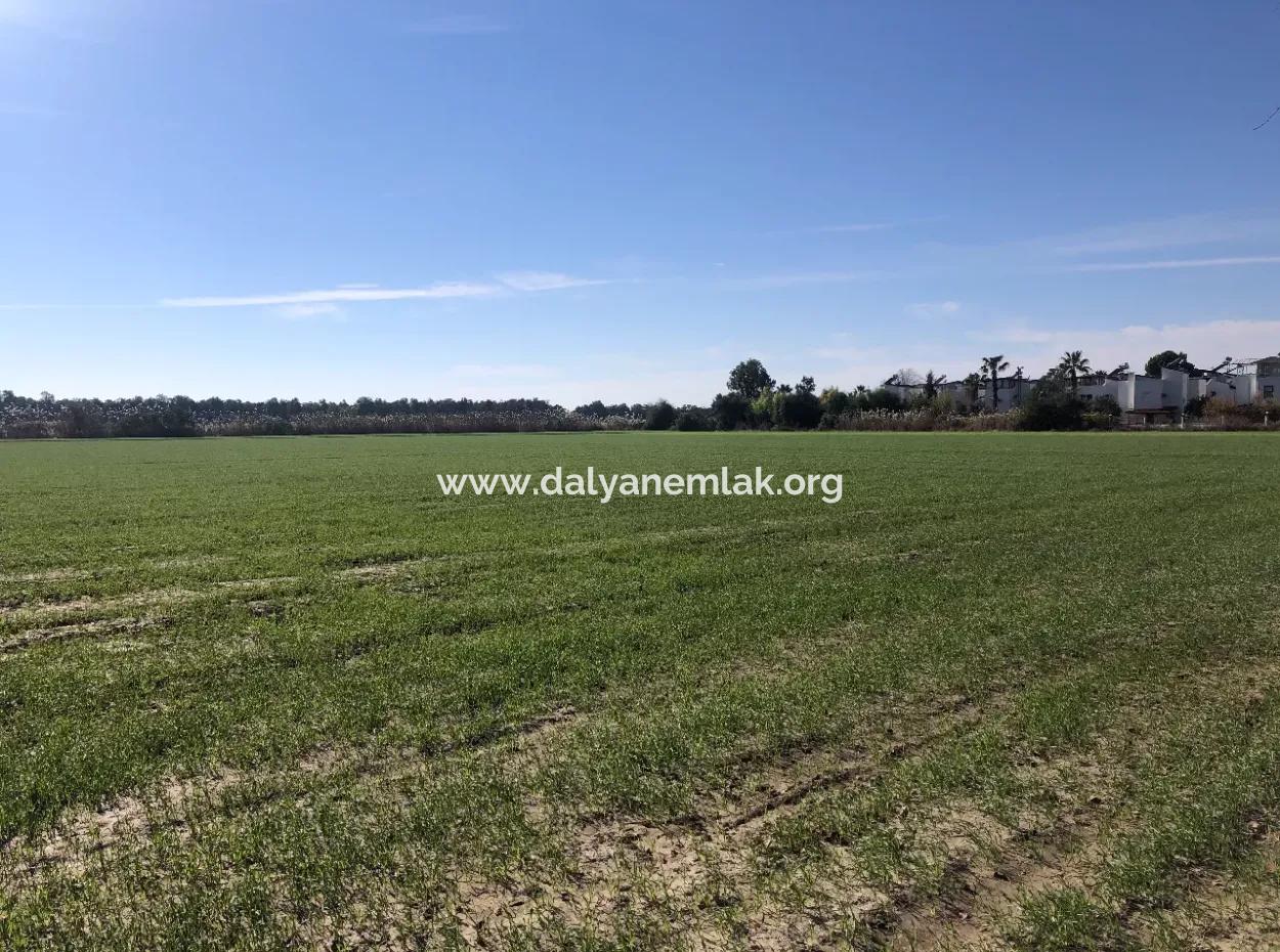 Sarıgermede Satılık Arsa Deniz Manzaralı 30,000M2 Satılık Arsa