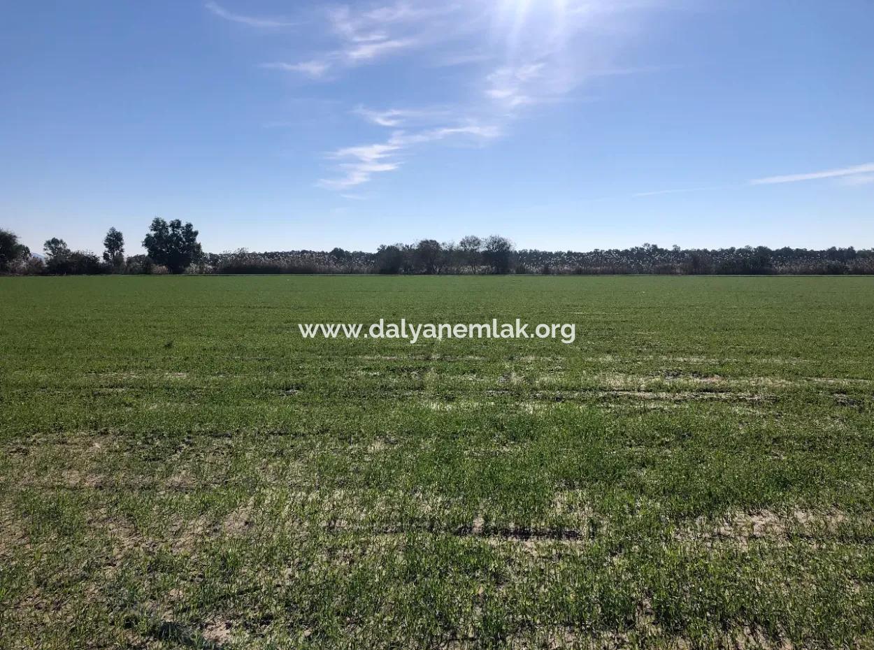 Sarıgermede Satılık Arsa Deniz Manzaralı 30,000M2 Satılık Arsa