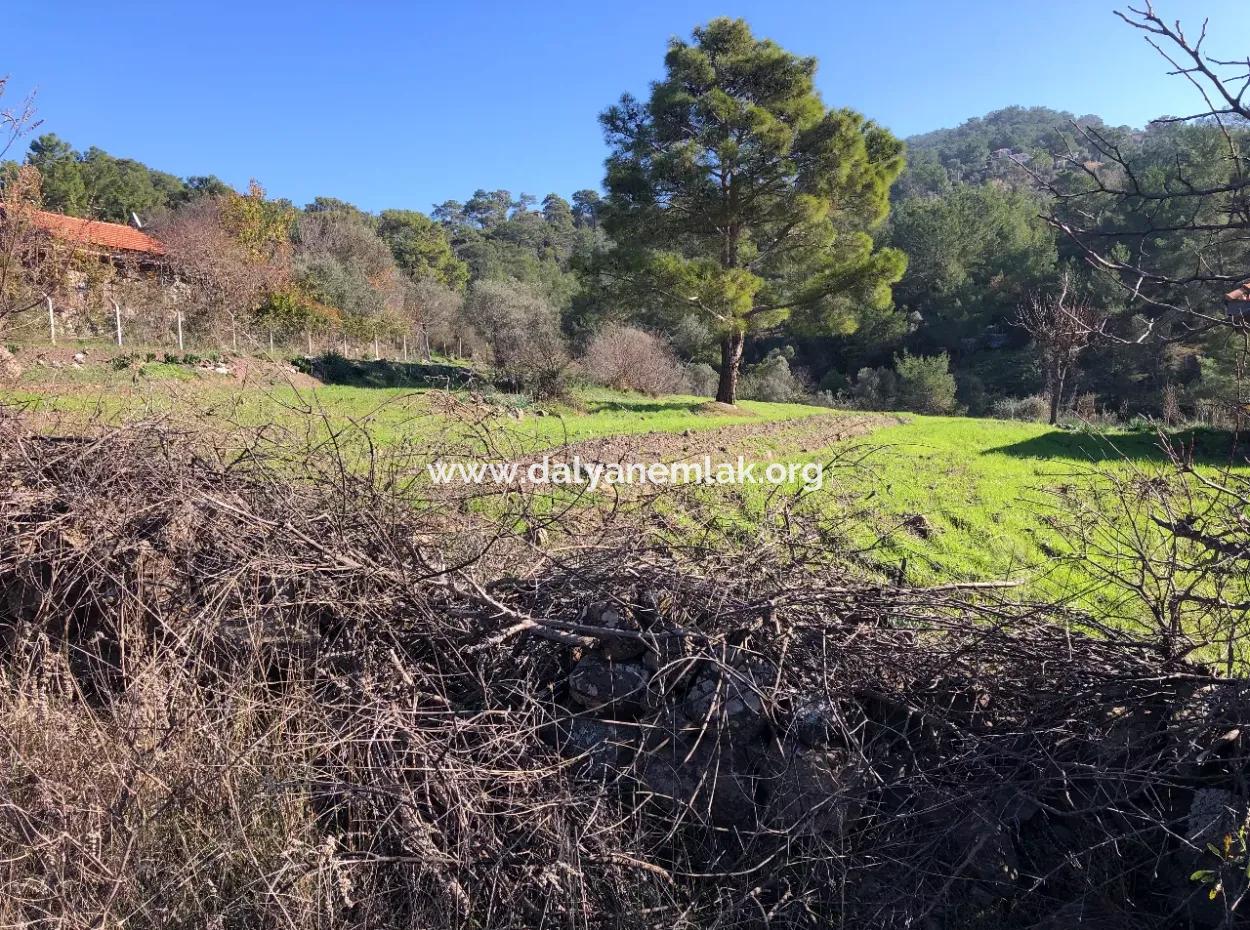 Gökbel Satılık Arsa Full Deniz Manzaralı 8000M2 Satılık Arsa