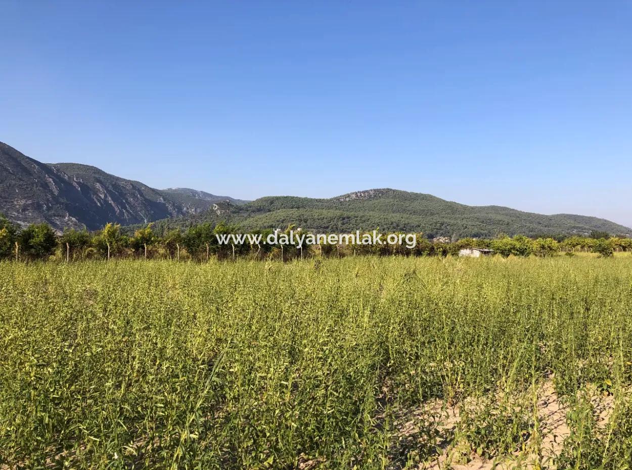 Akçapınarda Satılık Tarla 100 Dönüm Satılık Tarla