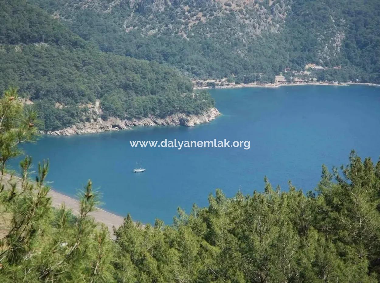 Ekincik Satılık Arsa Full Deniz Manzaralı 10885M2 Denize Bir Parsel Satılık Arsa