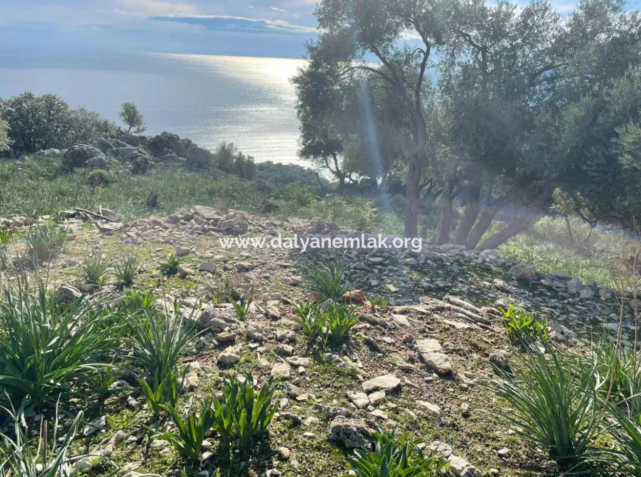 Ekincik'de Full Deniz Manzaralı Satılık 8,900M2 Tarla