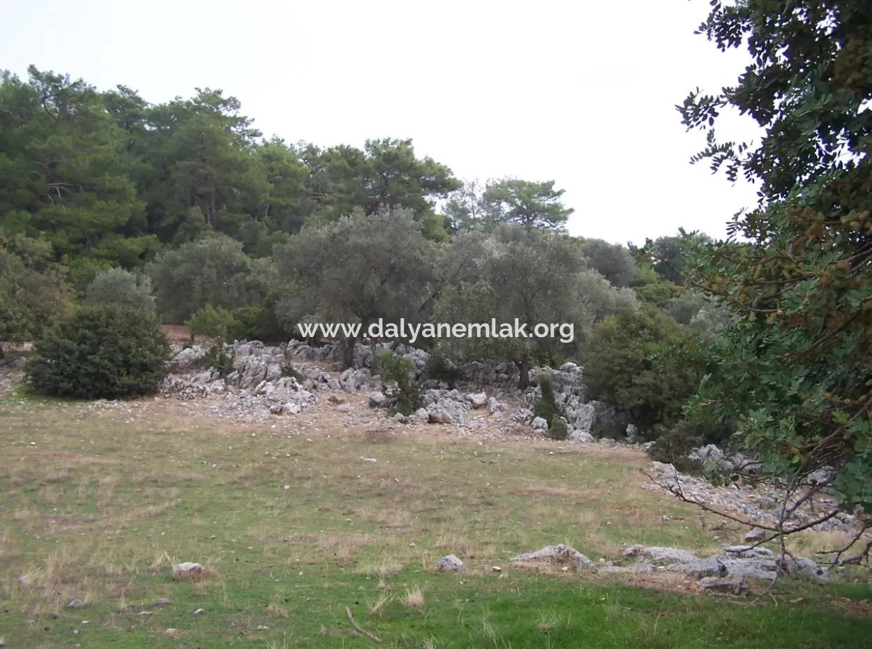 Sarsalada Deniz Manzaralı 4274M2 Arsa İçinde Satılık Taş Ev