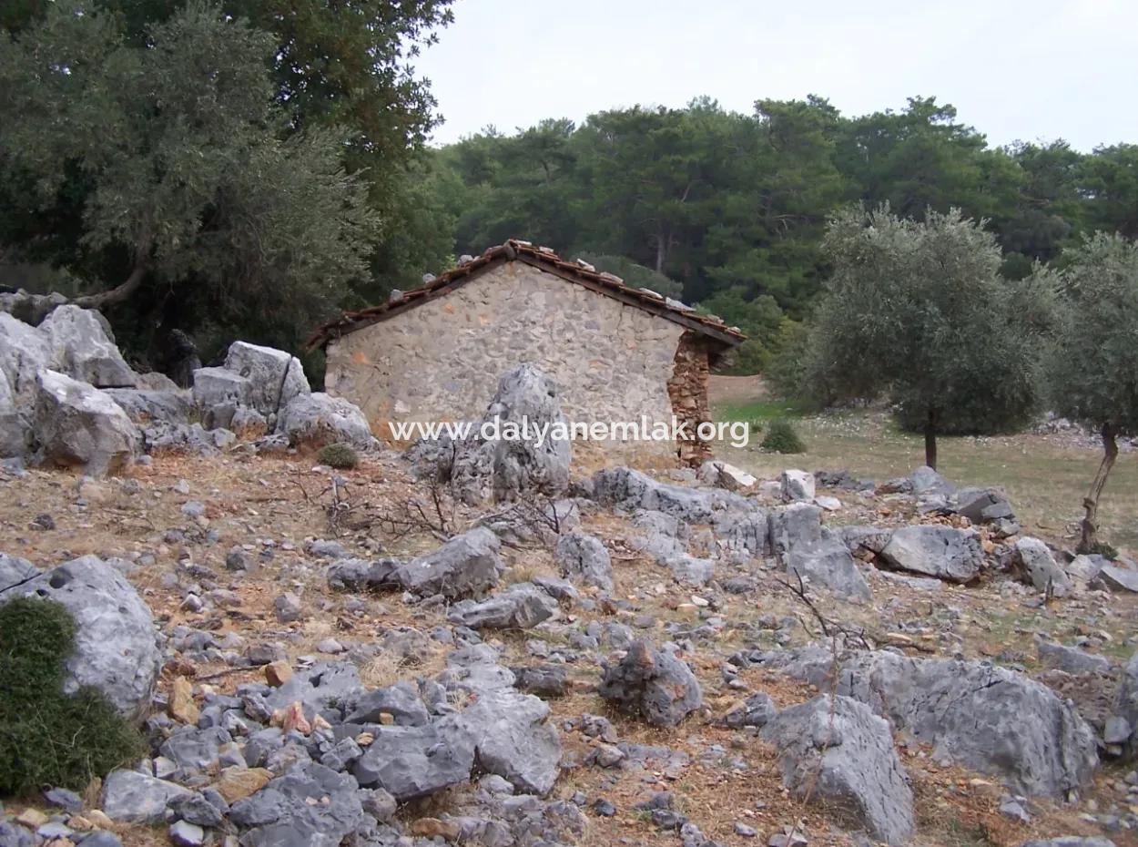 Sarsalada Deniz Manzaralı 4274M2 Arsa İçinde Satılık Taş Ev