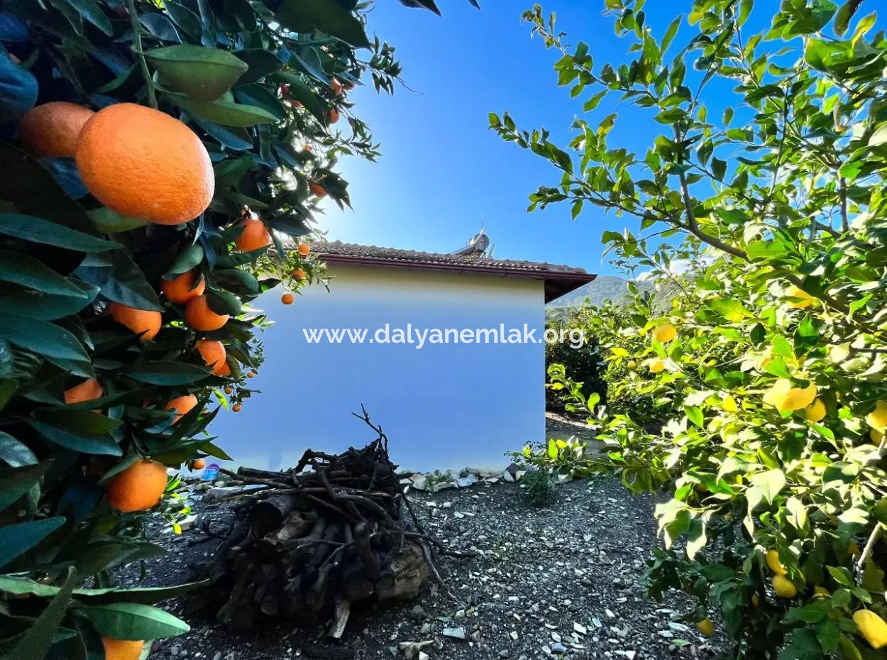 Çandır'da 5000M2 Arsa İçinde Satılık Tek Katlı Ev