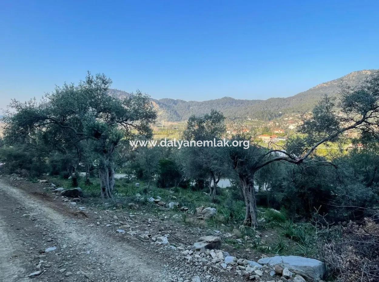 Çandır Göl Deniz Manzaralı 2,806M2 2B Satılık Tarla